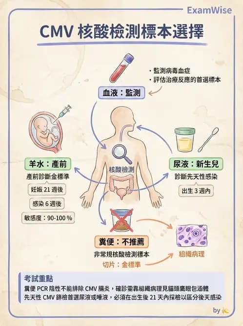 醫檢師 - 疱疹病毒科 - AI 圖文解析預覽