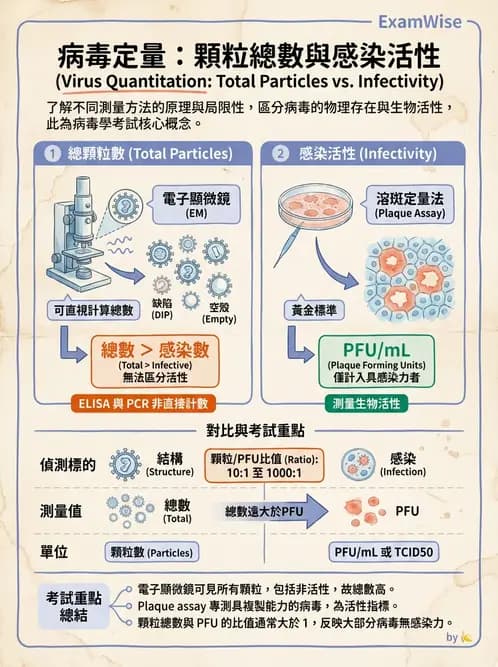 醫檢師 - 病毒檢驗技術 - AI 圖文解析預覽