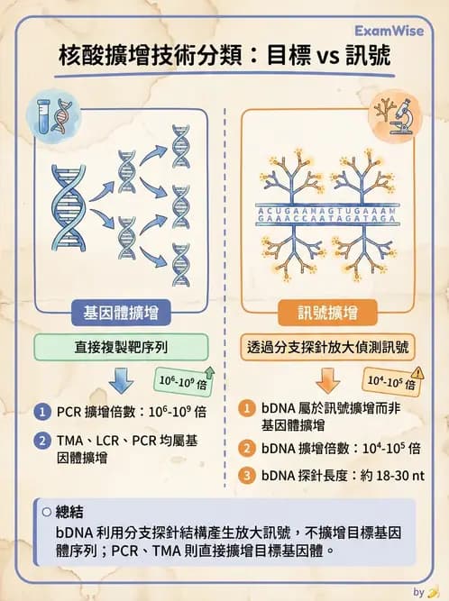 醫檢師 - 病毒檢驗技術 - AI 圖文解析預覽