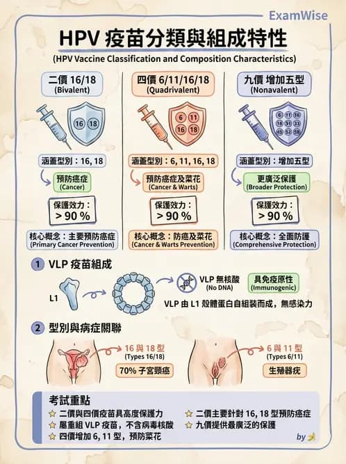 醫檢師 - 人類乳突病毒 - AI 圖文解析預覽