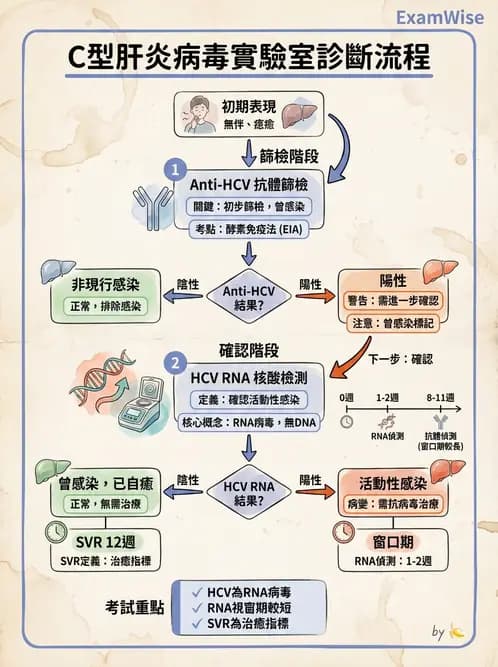 醫檢師 - 黃病毒科與蟲媒病毒 - AI 圖文解析預覽