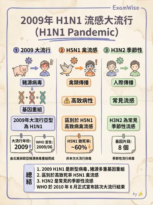 醫檢師 - 正黏液病毒科(流感) - AI 圖文解析預覽