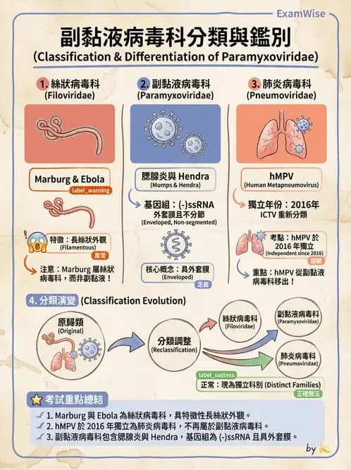 醫檢師 - 副黏液病毒科 - AI 圖文解析預覽