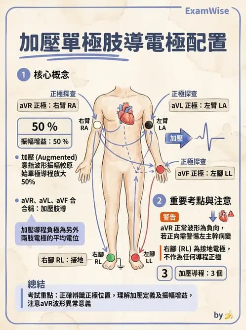 醫檢師 - 心電圖基礎與判讀 - AI 圖文解析預覽