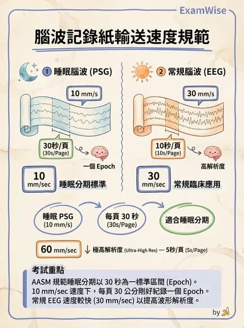 醫檢師 - 神經肌肉與睡眠檢查 - AI 圖文解析預覽