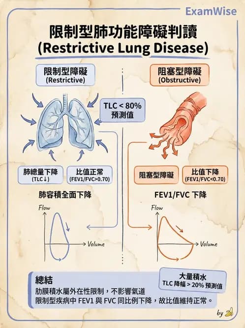 醫檢師 - 肺功能判讀與氣體交換 - AI 圖文解析預覽