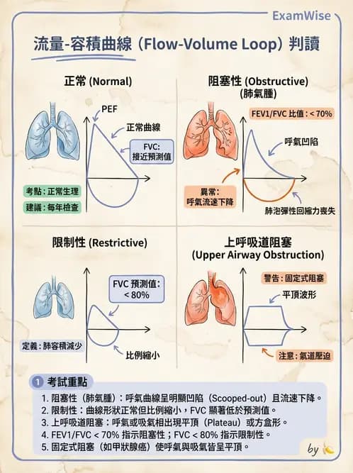 醫檢師 - 肺功能判讀與氣體交換 - AI 圖文解析預覽