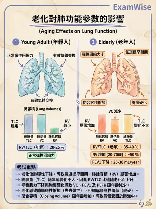 醫檢師 - 肺功能基礎與指標 - AI 圖文解析預覽