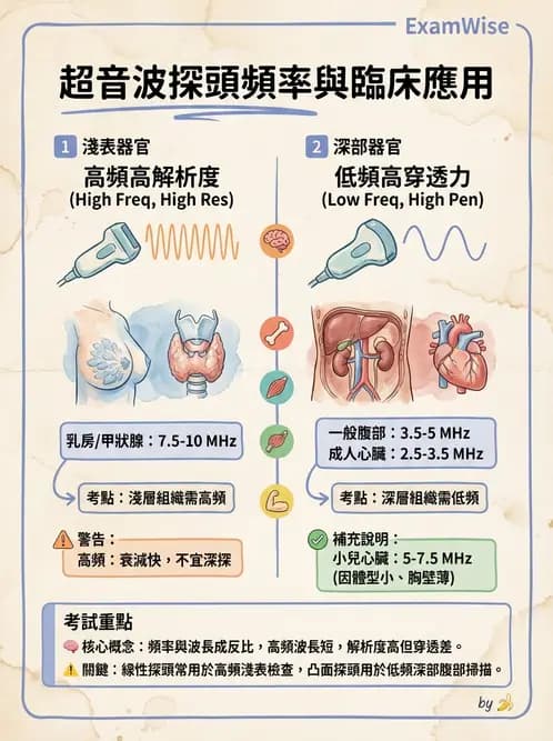 醫檢師 - 超音波檢查 - AI 圖文解析預覽