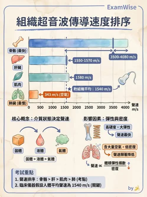 醫檢師 - 超音波檢查 - AI 圖文解析預覽