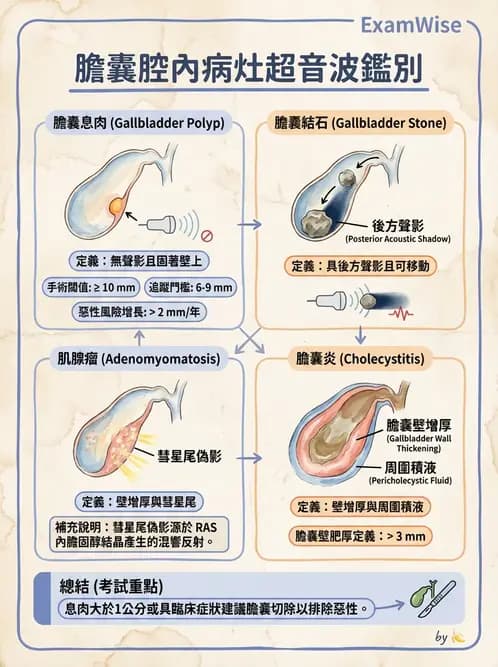 醫檢師 - 超音波檢查 - AI 圖文解析預覽