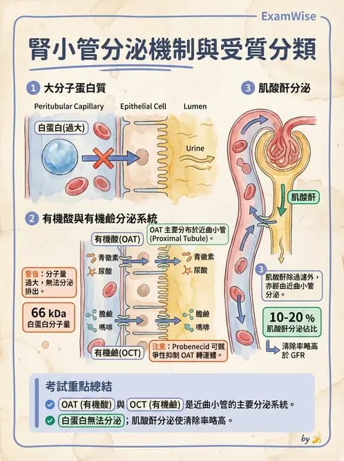 醫檢師 - 綜合性試題 - AI 圖文解析預覽