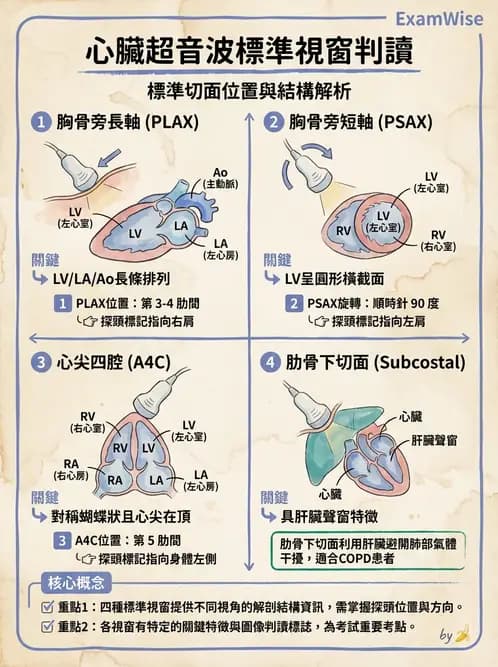 醫檢師 - 超音波檢查 - AI 圖文解析預覽