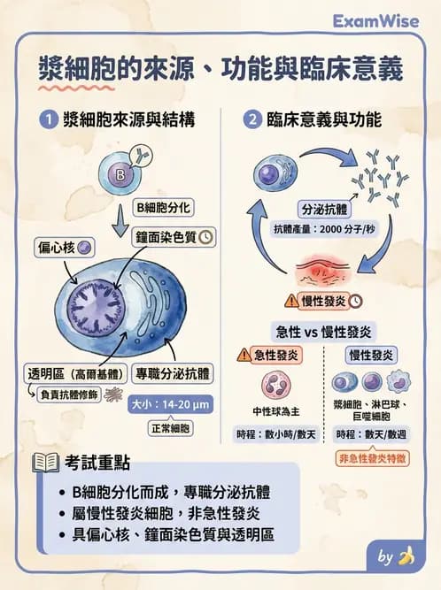 醫檢師 - 細胞傷害、發炎與修復 - AI 圖文解析預覽