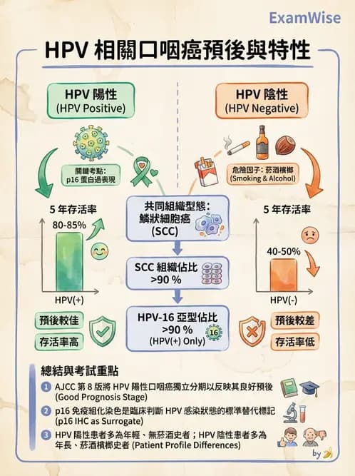 醫檢師 - 消化肝膽疾病 - AI 圖文解析預覽