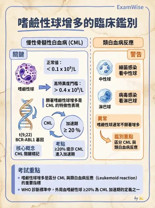 醫檢師 - 造血系統疾病 - AI 圖文解析預覽