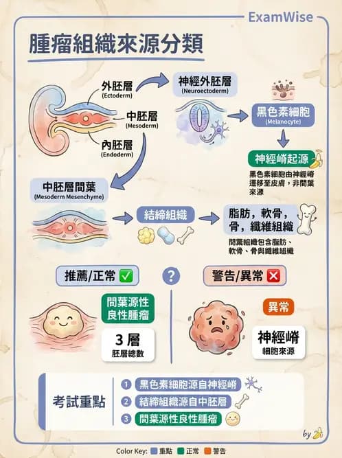 醫檢師 - 腫瘤概論 - AI 圖文解析預覽