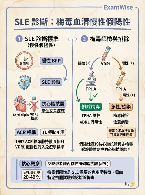 醫檢師 - 免疫疾病 - AI 圖文解析預覽