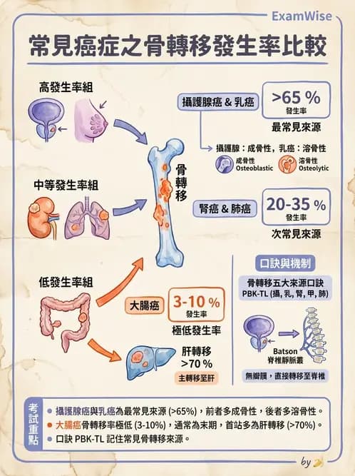 醫檢師 - 骨骼及軟組織疾病 - AI 圖文解析預覽