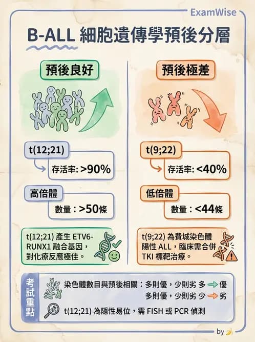 醫檢師 - 急性白血病 - AI 圖文解析預覽