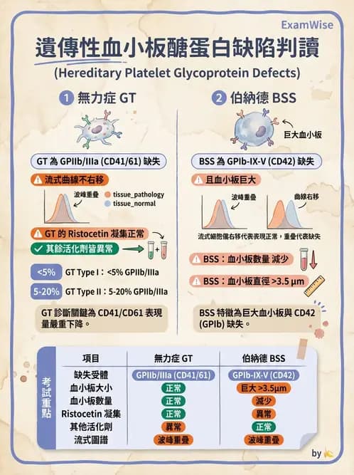 醫檢師 - 出血性疾病與檢驗 - AI 圖文解析預覽
