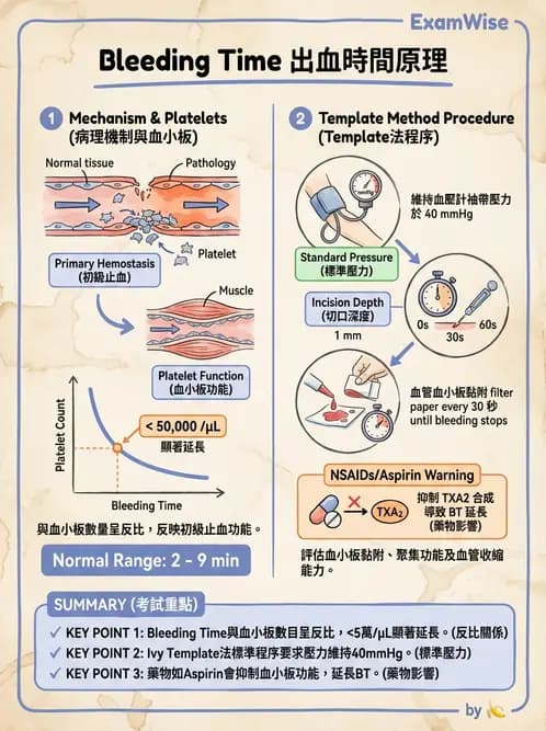 醫檢師 - 血小板與止血生理 - AI 圖文解析預覽