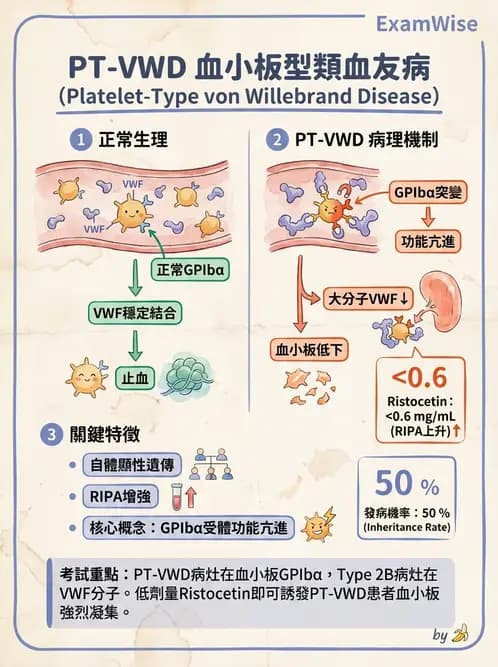 醫檢師 - 出血性疾病與檢驗 - AI 圖文解析預覽