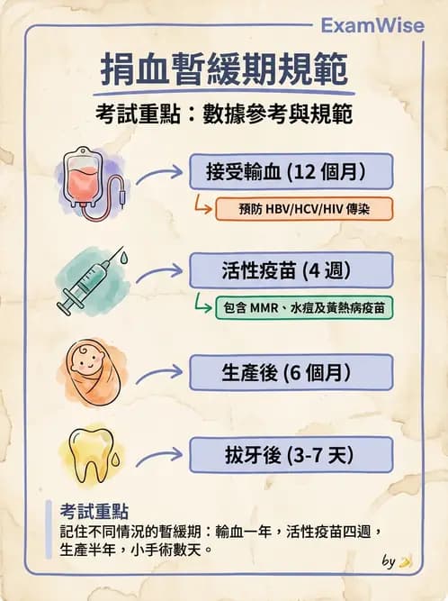 醫檢師 - 血液成分製備與輸血檢查 - AI 圖文解析預覽