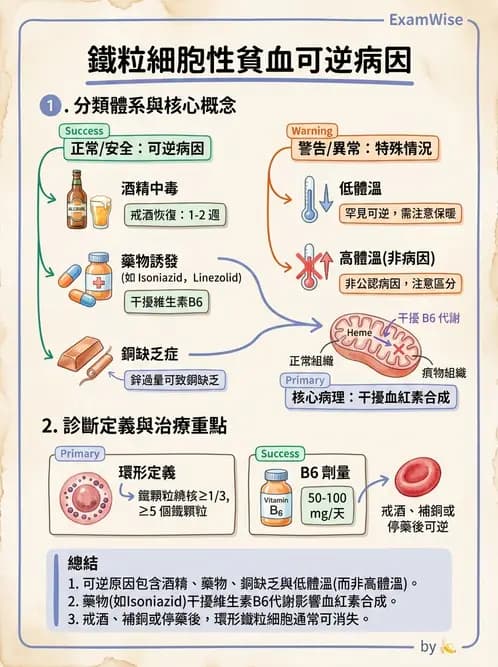 醫檢師 - 貧血診斷與營養缺乏性貧血 - AI 圖文解析預覽
