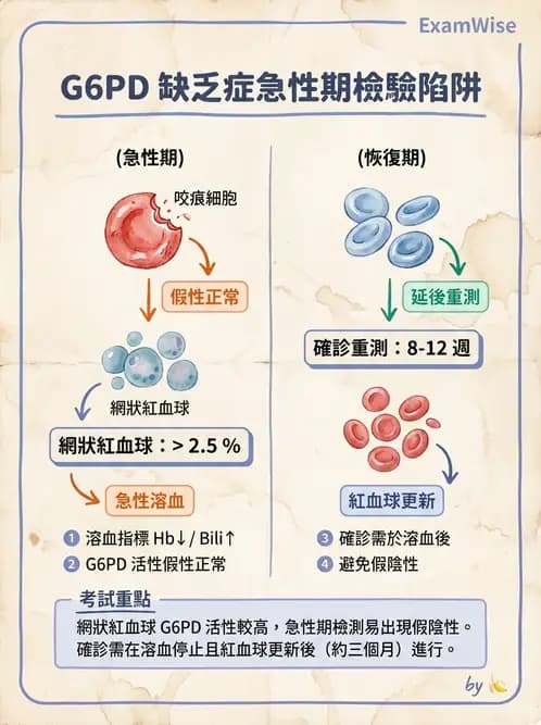 醫檢師 - 溶血性貧血與血色素病變 - AI 圖文解析預覽