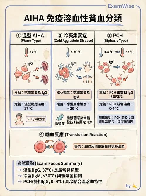 醫檢師 - 溶血性貧血與血色素病變 - AI 圖文解析預覽