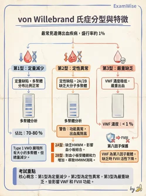 醫檢師 - 出血性疾病與檢驗 - AI 圖文解析預覽