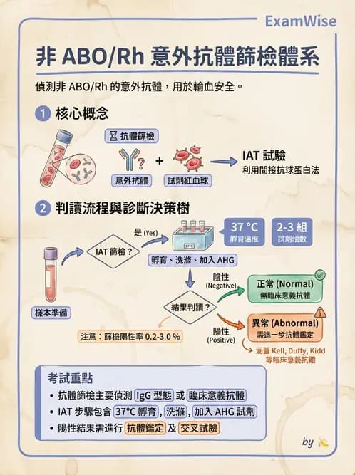 醫檢師 - 血液成分製備與輸血檢查 - AI 圖文解析預覽