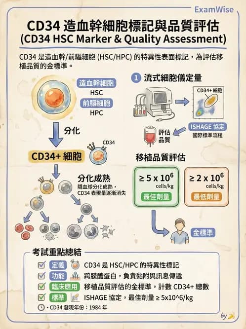 醫檢師 - 血液成分製備與輸血檢查 - AI 圖文解析預覽