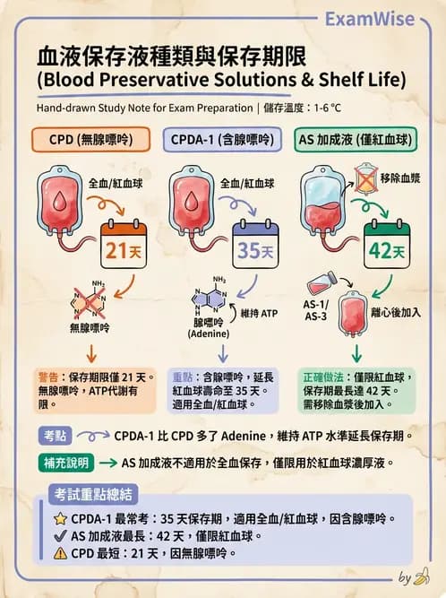 醫檢師 - 血液成分製備與輸血檢查 - AI 圖文解析預覽