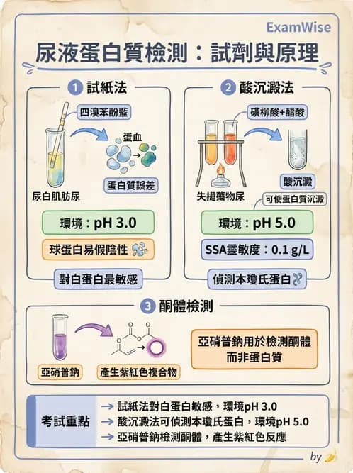 醫檢師 - 尿液化學檢驗 - AI 圖文解析預覽