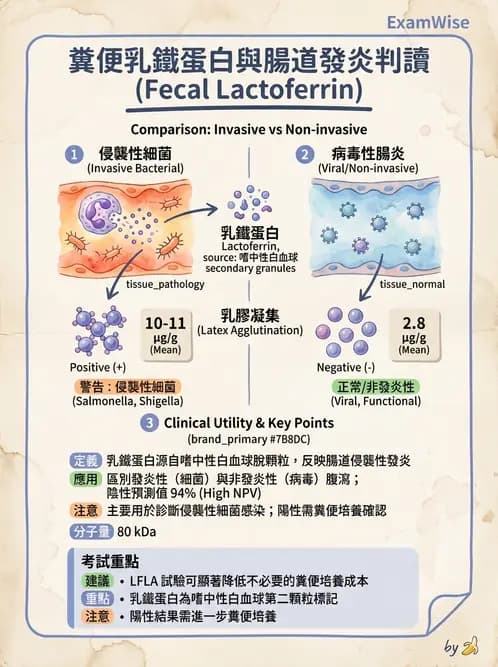 醫檢師 - 糞便常規檢查 - AI 圖文解析預覽