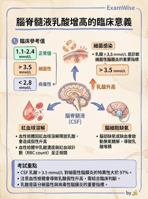 醫檢師 - 腦脊髓液檢查 - AI 圖文解析預覽