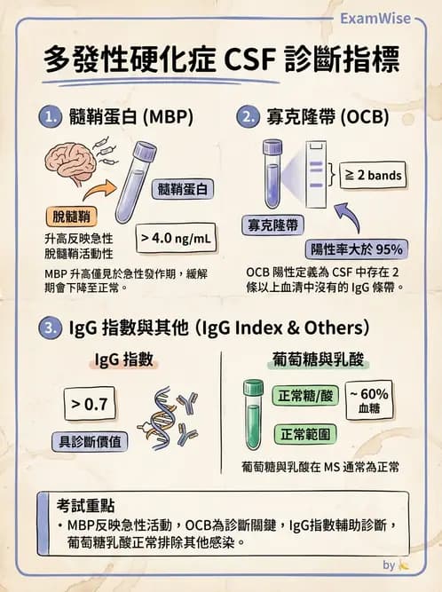 醫檢師 - 腦脊髓液檢查 - AI 圖文解析預覽