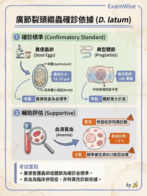 醫檢師 - 寄生蟲檢查-蠕蟲類 - AI 圖文解析預覽