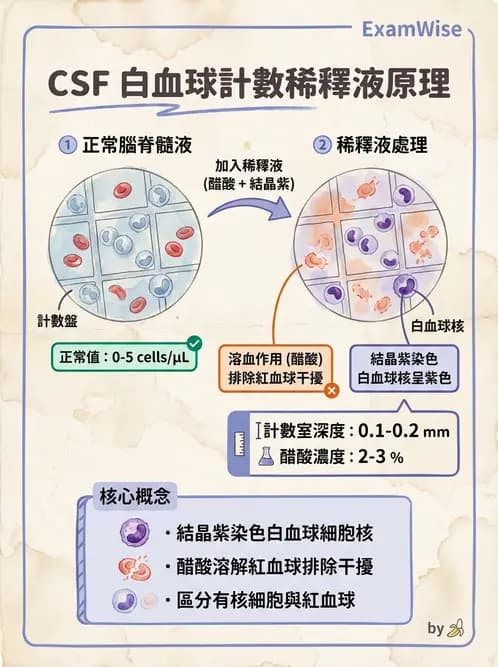 醫檢師 - 腦脊髓液檢查 - AI 圖文解析預覽
