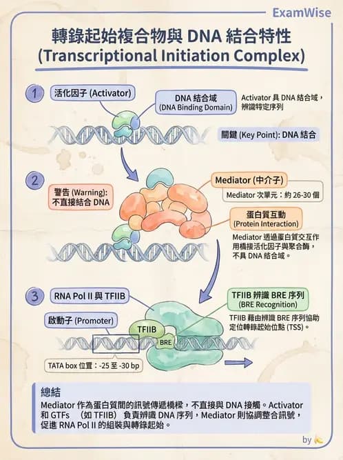 醫檢師 - 基礎分子生物學 - AI 圖文解析預覽