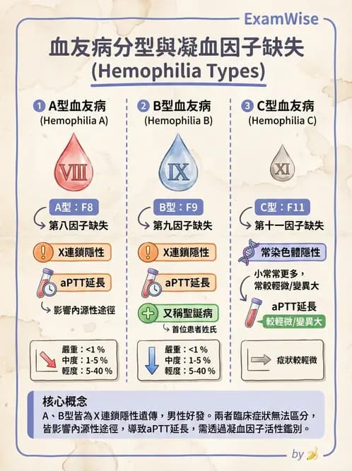 醫檢師 - 遺傳疾病基因檢測 - AI 圖文解析預覽