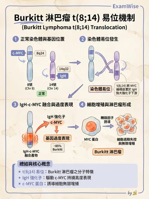 醫檢師 - 腫瘤疾病基因檢測 - AI 圖文解析預覽