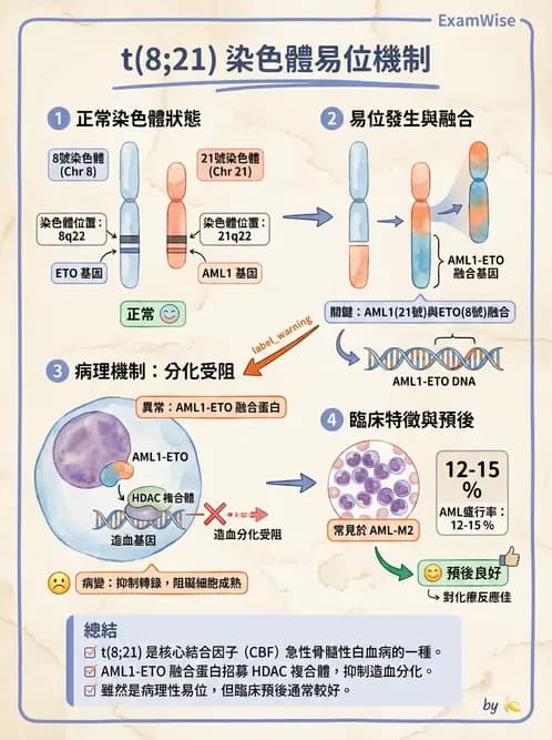 醫檢師 - 腫瘤疾病基因檢測 - AI 圖文解析預覽