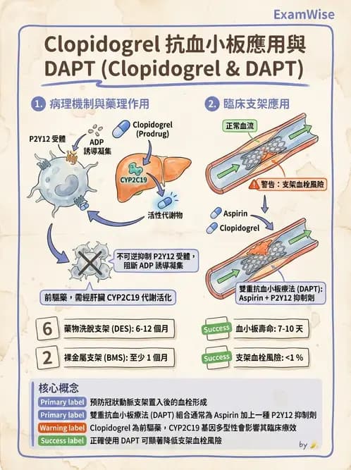 醫檢師 - 藥物相關基因檢測 - AI 圖文解析預覽