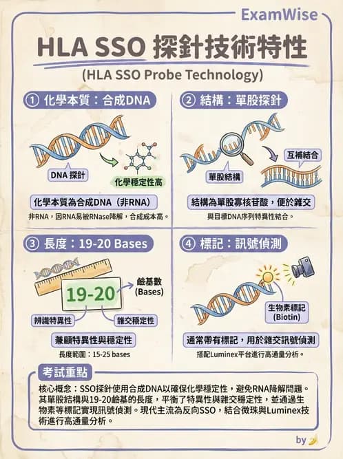 醫檢師 - 分子鑑定與應用技術 - AI 圖文解析預覽