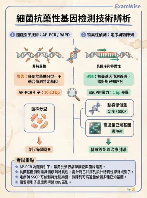 醫檢師 - 感染症分子檢驗 - AI 圖文解析預覽
