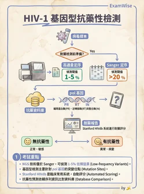 醫檢師 - 感染症分子檢驗 - AI 圖文解析預覽