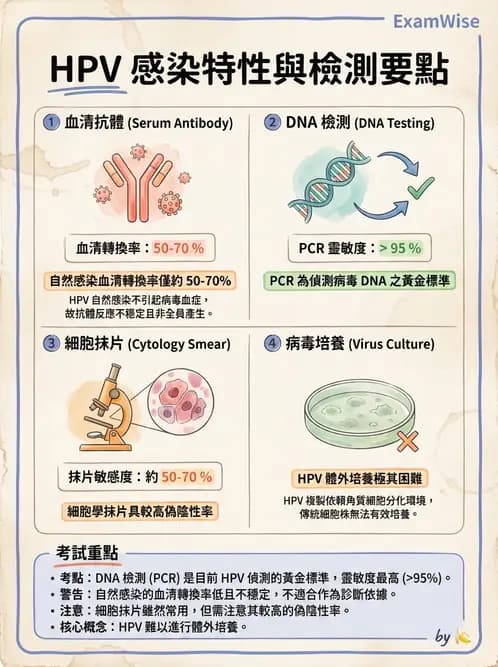 醫檢師 - 感染症分子檢驗 - AI 圖文解析預覽